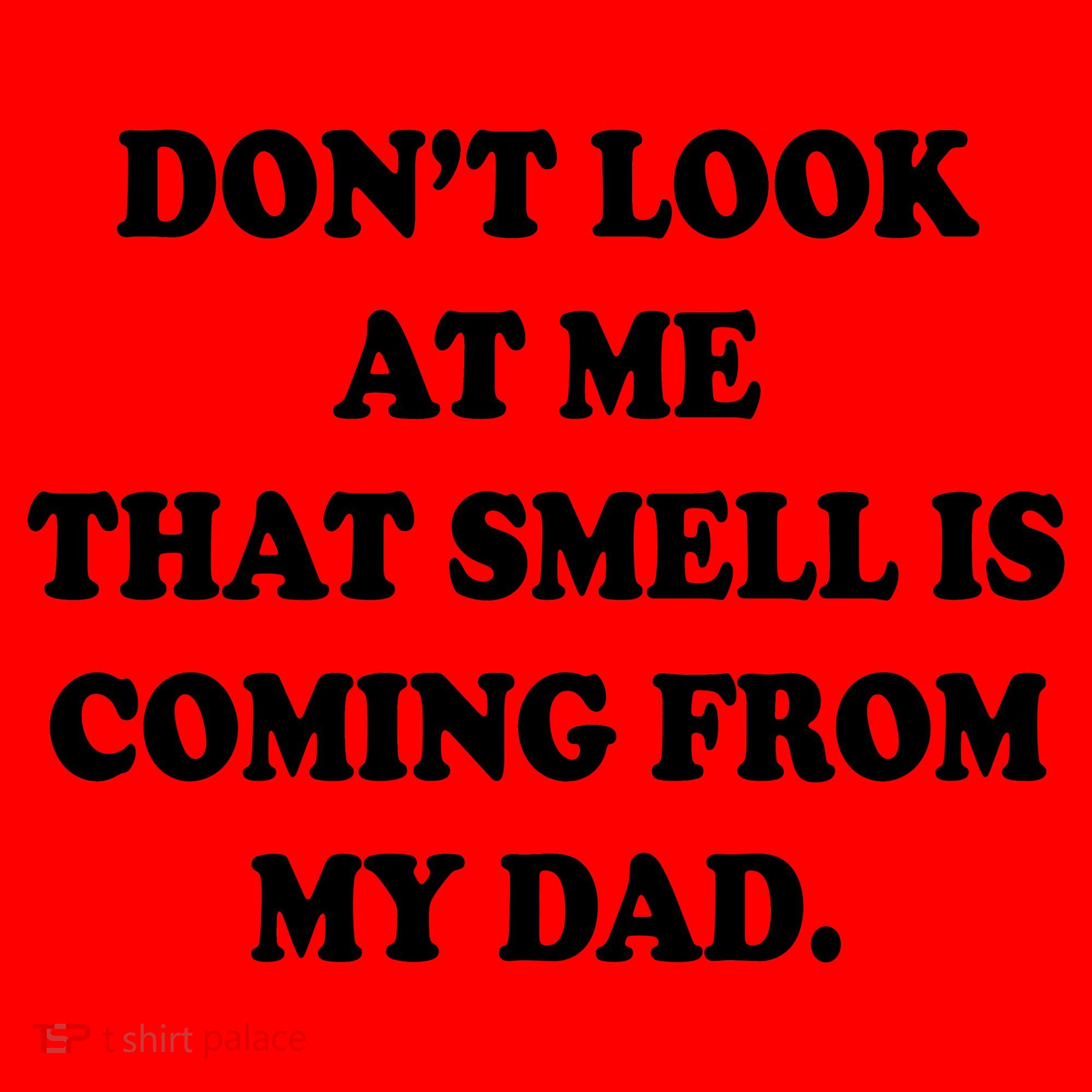 Don't Look At Me That Smell Is Coming From My Dad Santa Hat