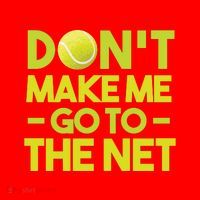 Don't Make Me Go To The Net Santa Hat thumb 1