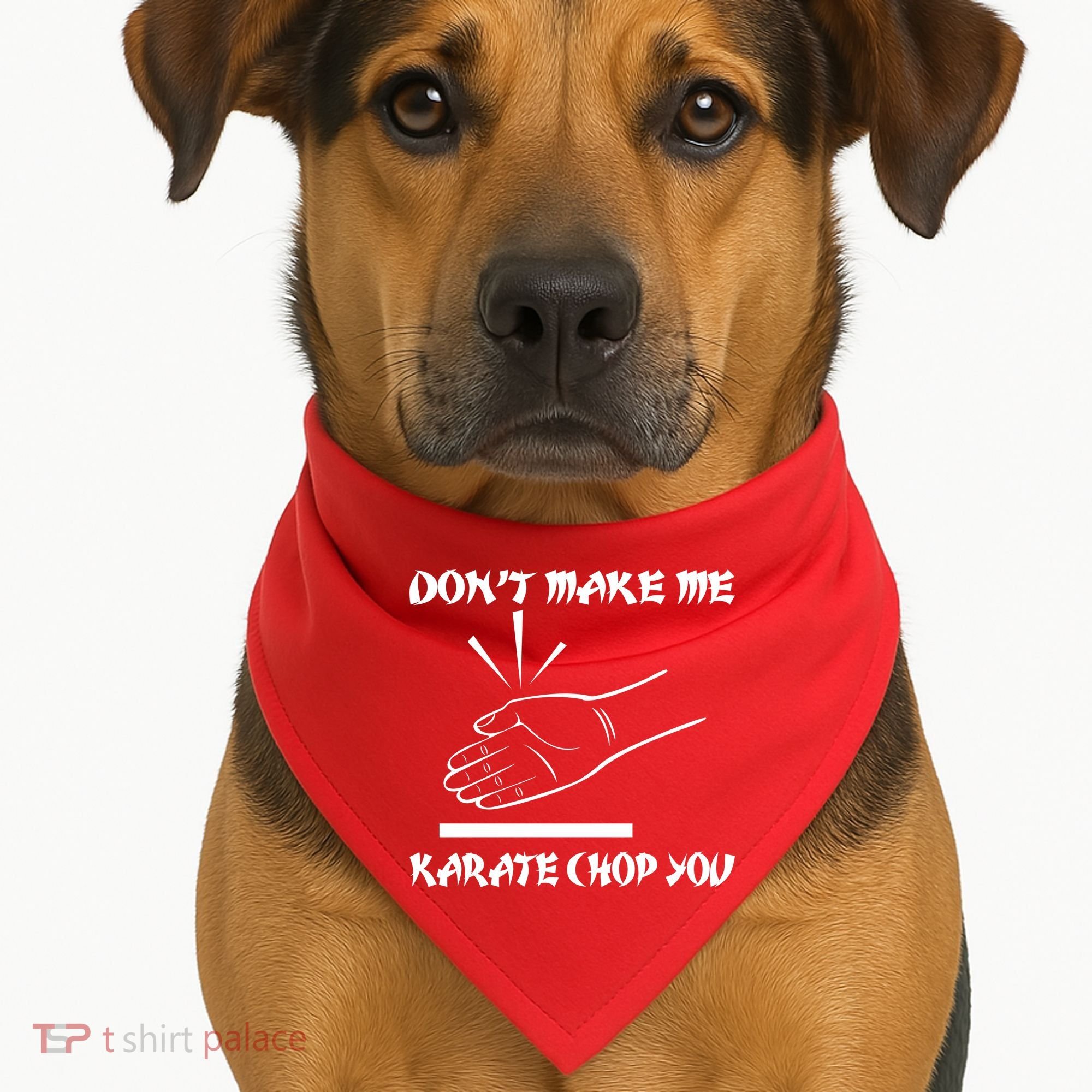 Don't Make Me Karate Chop You USA-Made Doggie Bandana