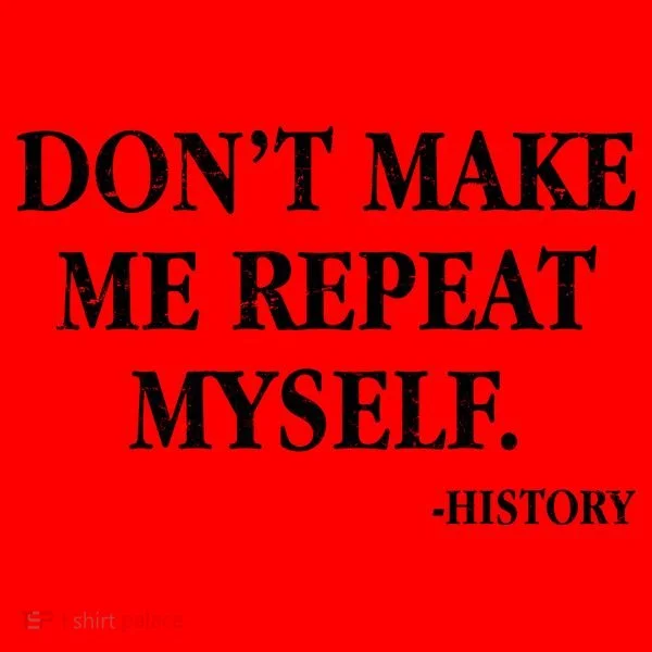 Don't Make Me Repeat Myself History Santa Hat