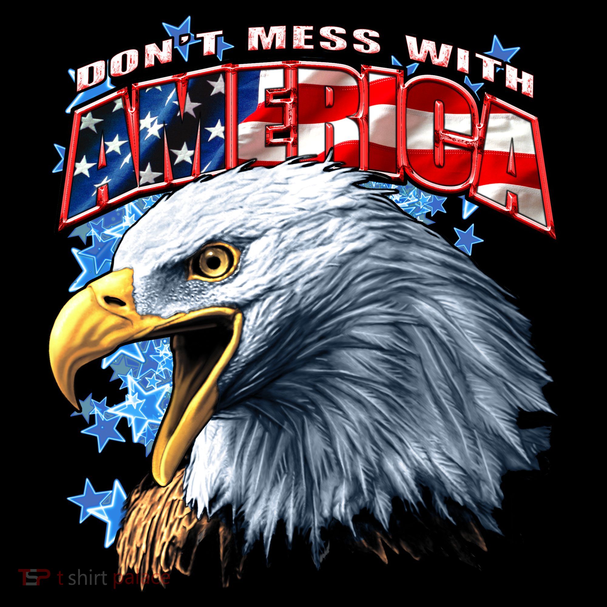 Don't Mess With America Apron