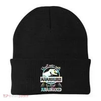 Don't Mess With Mamasaurus Beanie thumb 0