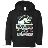 Don't Mess With Mamasaurus Toddler Hoodie thumb 0