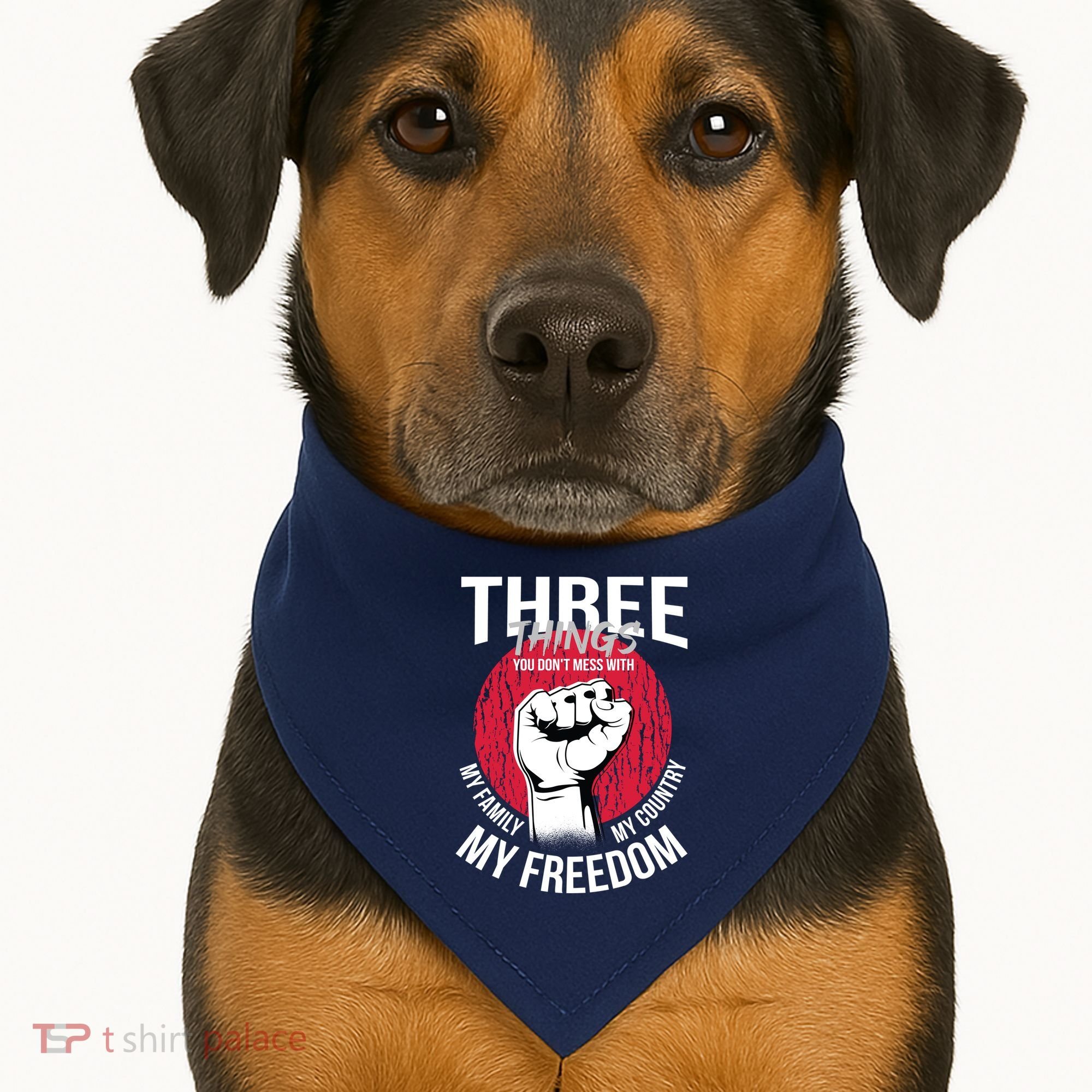Don't Mess With Me Freedom Quote USA-Made Doggie Bandana