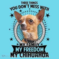 Don't Mess With My Chihuahua Kids T-Shirt thumb 4