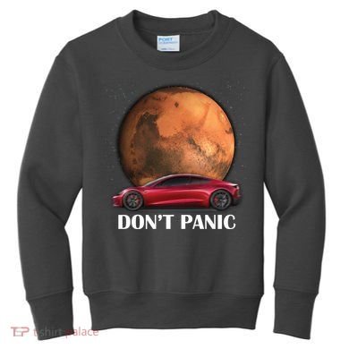 Don't Panic Kids Sweatshirt