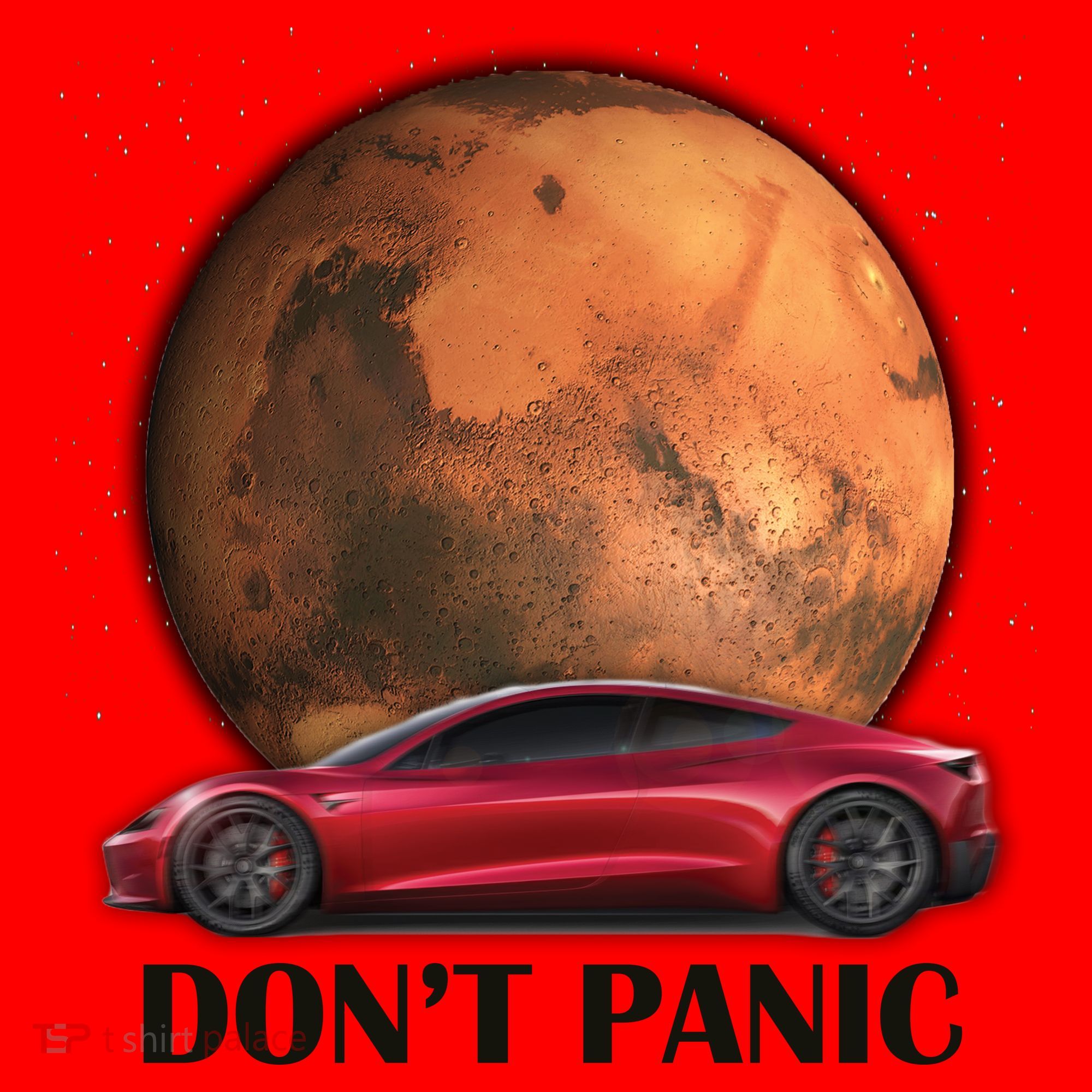 Don't Panic Santa Hat