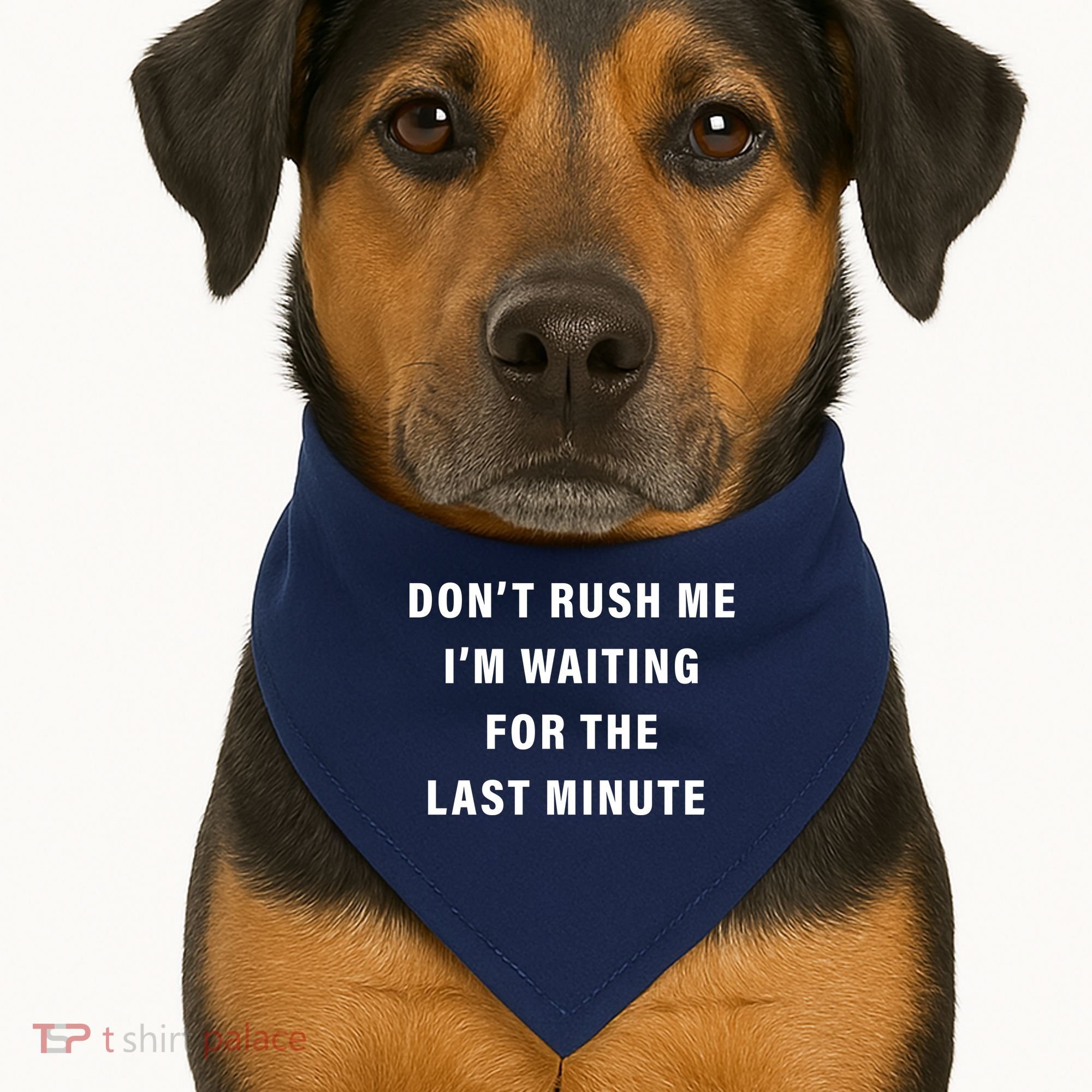Don't Rush Me I'm Waiting For The Last Minute USA-Made Doggie Bandana