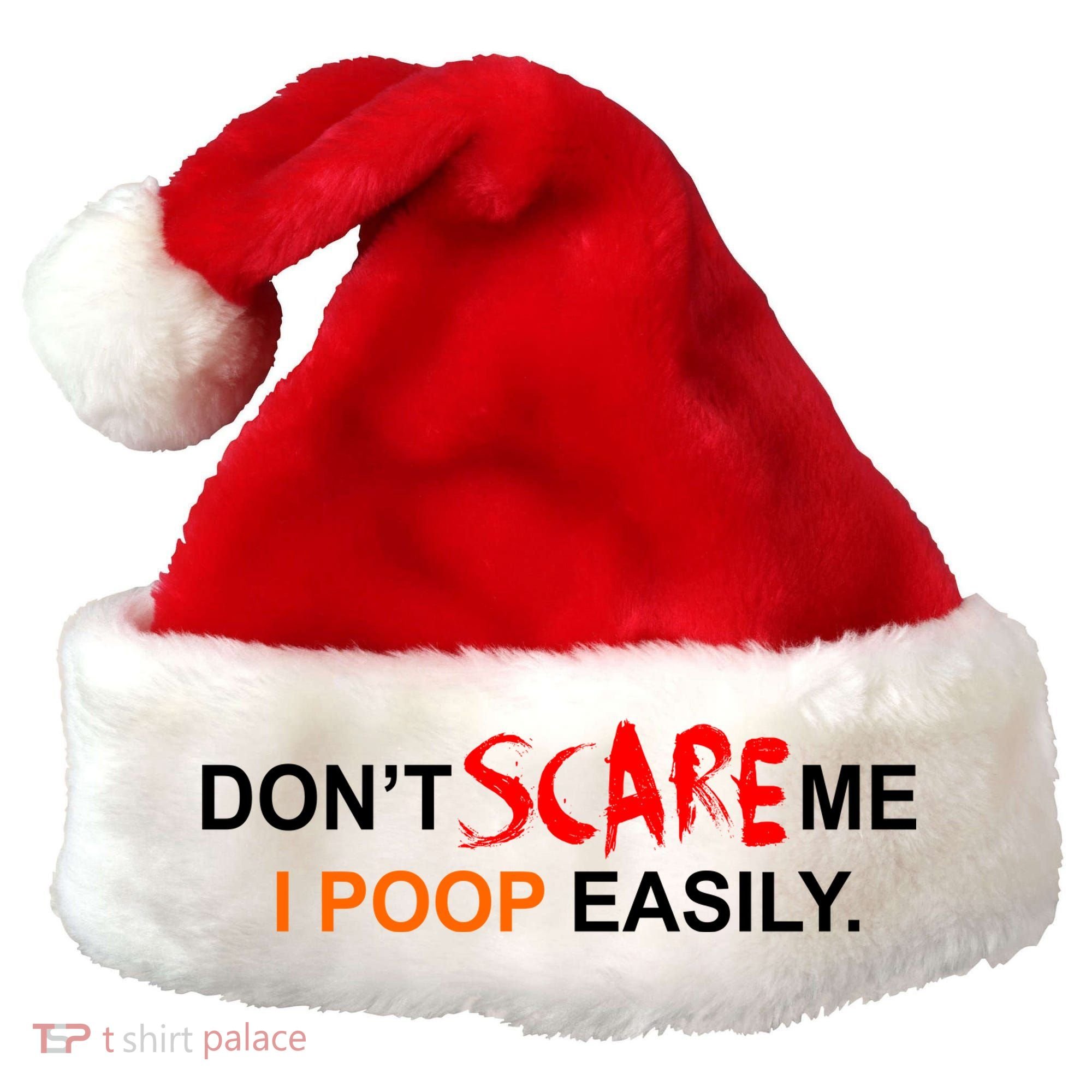 Don't Scare Me I Poop Easily Funny Santa Hat