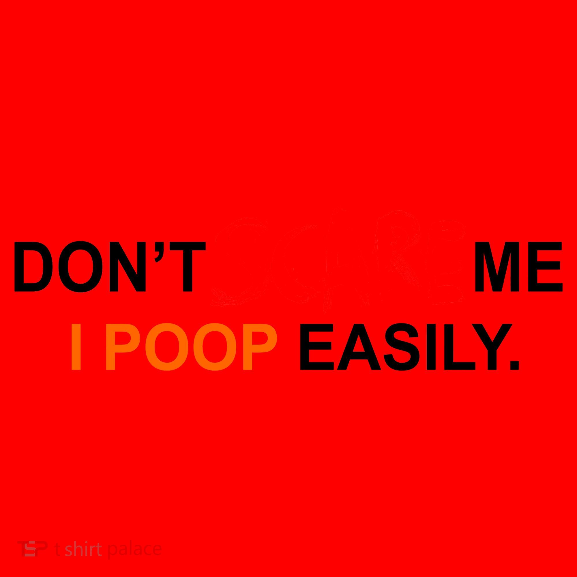 Don't Scare Me I Poop Easily Funny Santa Hat