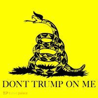 Don't Trump On Me Toddler T-Shirt thumb 2