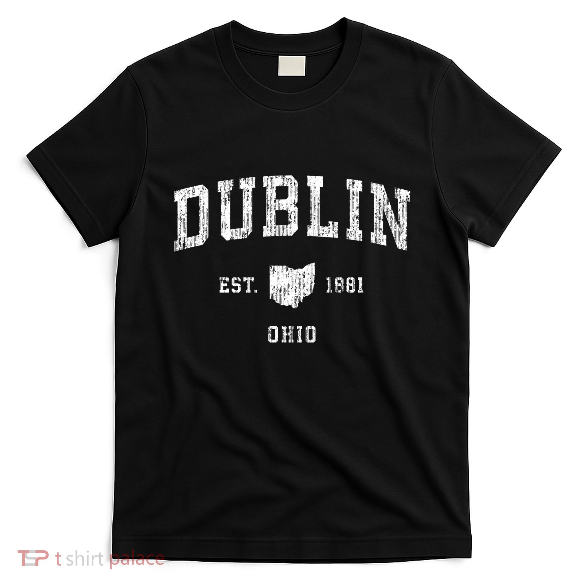 Dublin Ohio Oh Vintage Athletic Sports T-Shirt