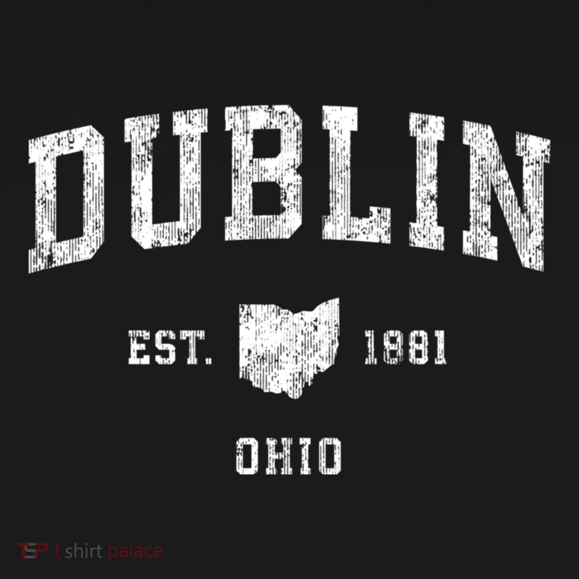 Dublin Ohio Oh Vintage Athletic Sports T-Shirt