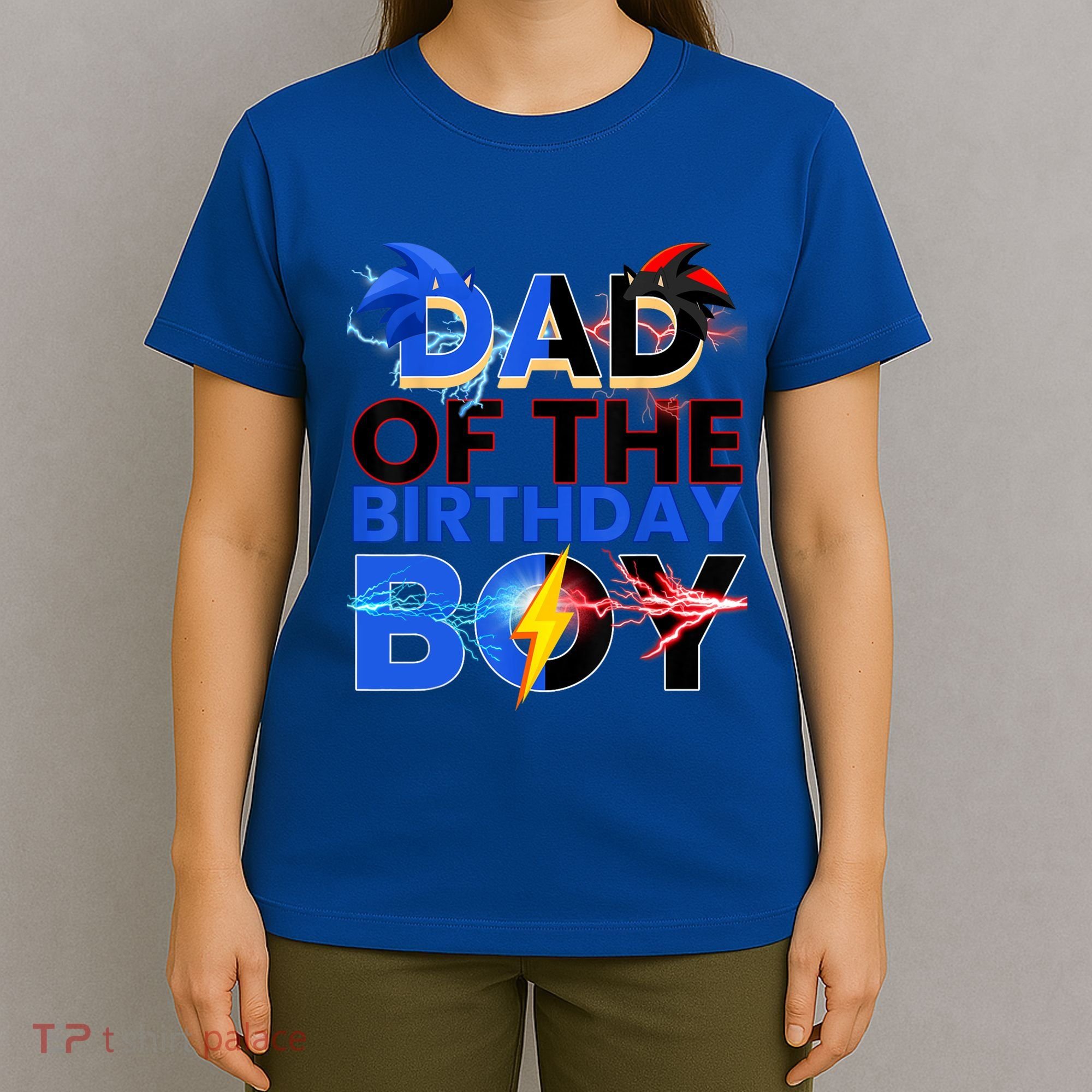 Dad Of The Birthday Boy Hedgehog Family Party Decorations T-Shirt