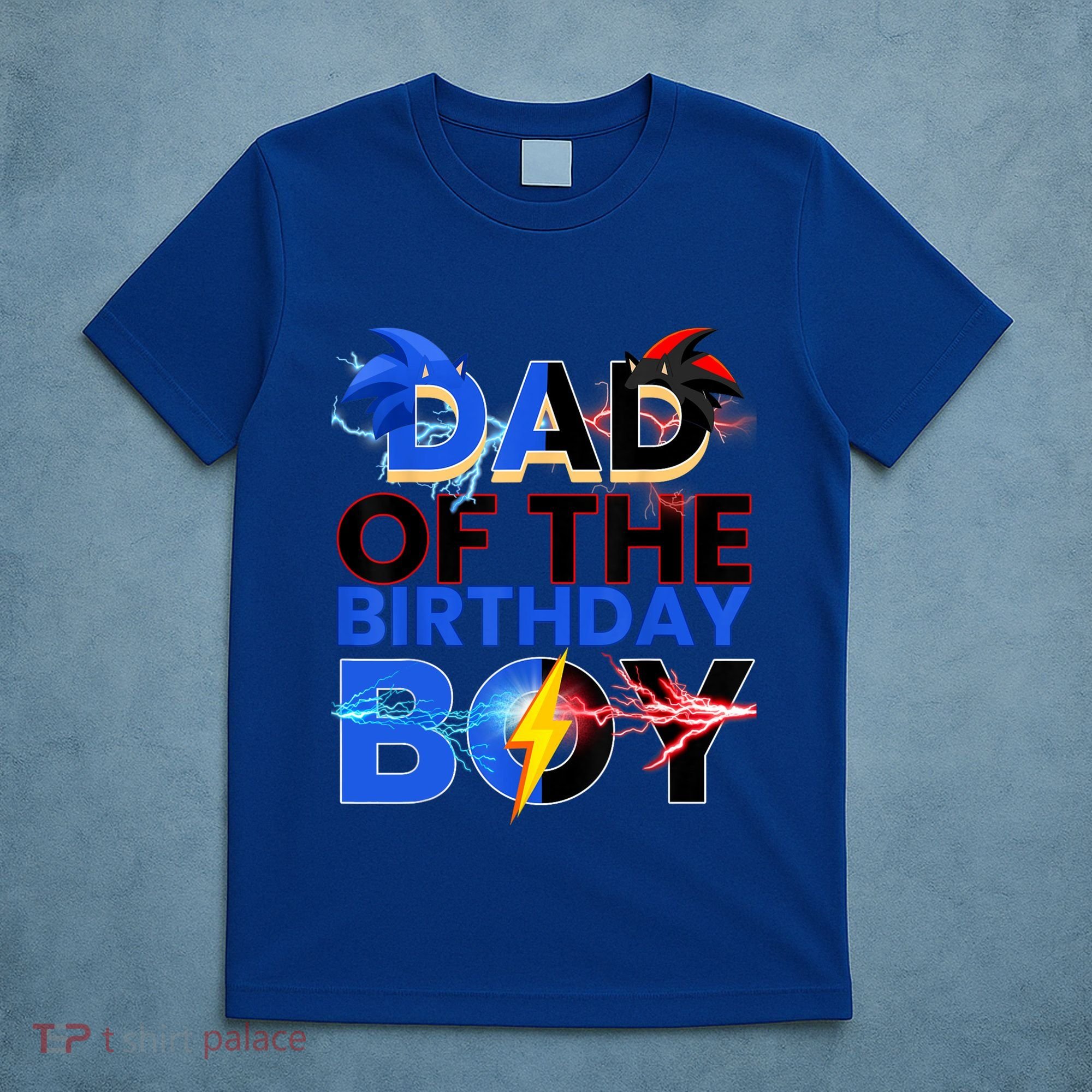 Dad Of The Birthday Boy Hedgehog Family Party Decorations T-Shirt