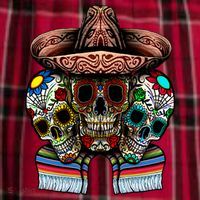 Day Of The Dead Tri Sugar Skulls Women's Flannel Plaid Pajama Pants thumb 2