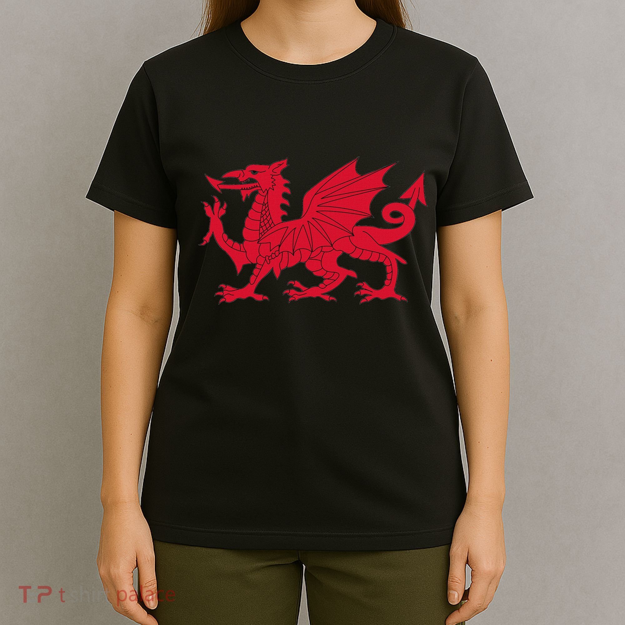 Dragon Of Wales Flag Cool Welsh Cymru Flags T-Shirt