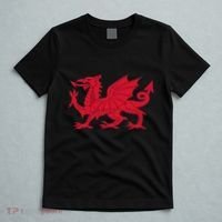 Dragon Of Wales Flag Cool Welsh Cymru Flags T-Shirt thumb 5