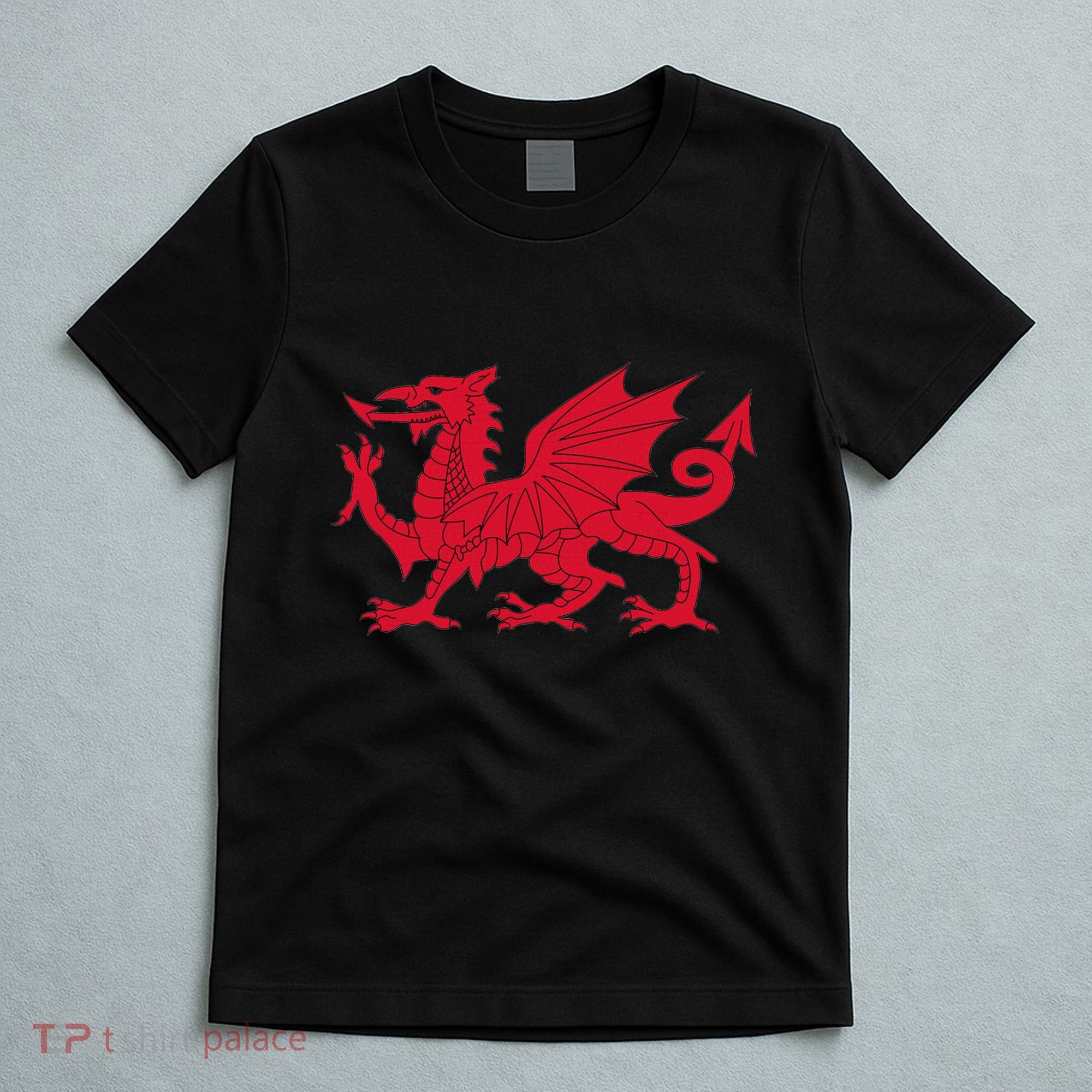 Dragon Of Wales Flag Cool Welsh Cymru Flags T-Shirt