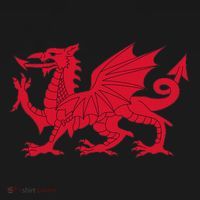 Dragon Of Wales Flag Cool Welsh Cymru Flags Women's Hoodie thumb 2