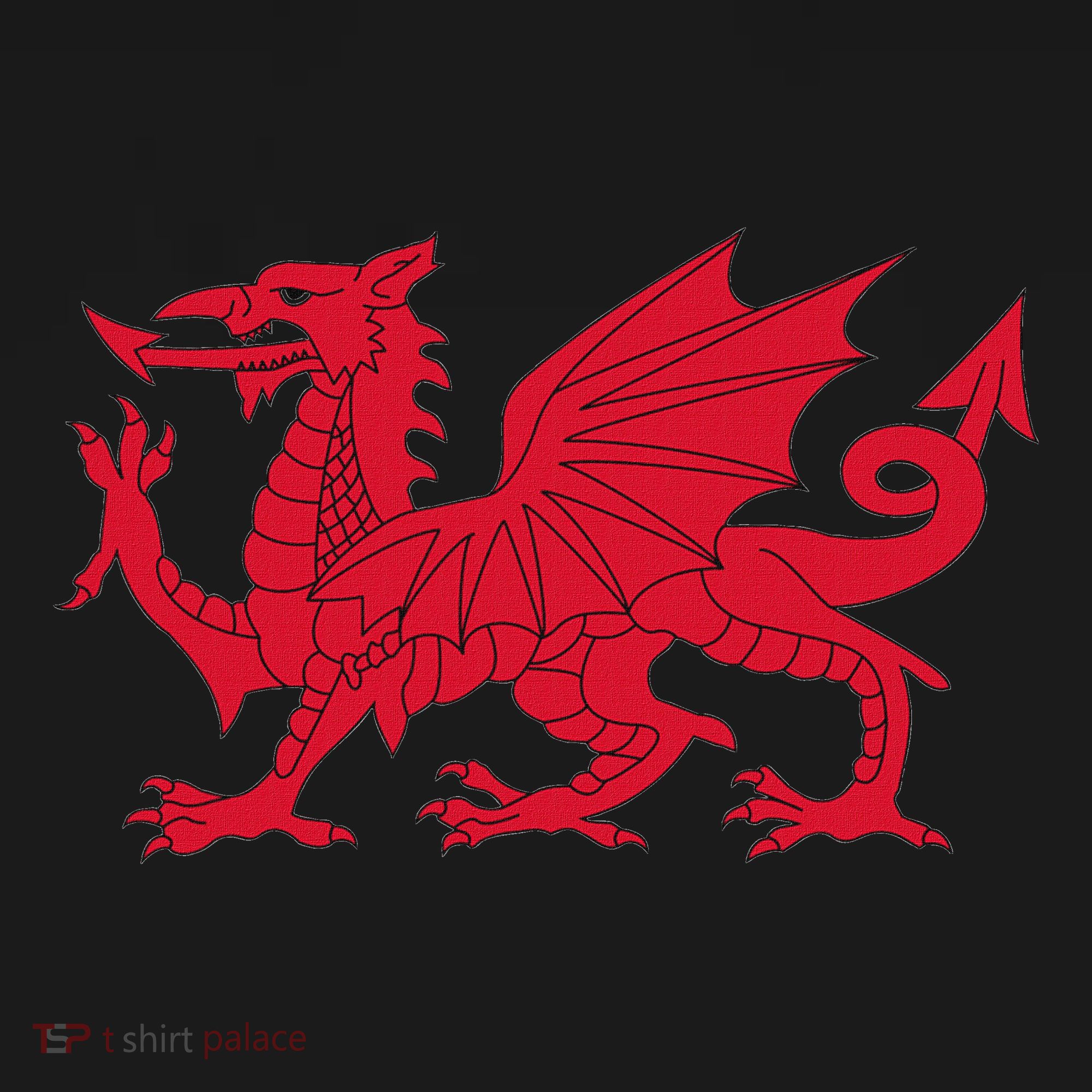 Dragon Of Wales Flag Cool Welsh Cymru Flags Women's Hoodie