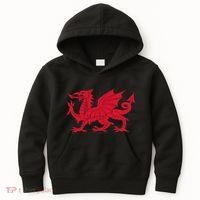 Dragon Of Wales Flag Cool Welsh Cymru Flags Kids Hoodie thumb 0