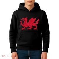 Dragon Of Wales Flag Cool Welsh Cymru Flags Kids Hoodie thumb 4