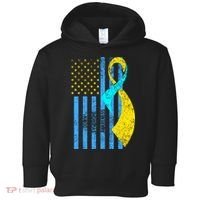 Down Syndrome Awareness Flag Toddler Hoodie thumb 0
