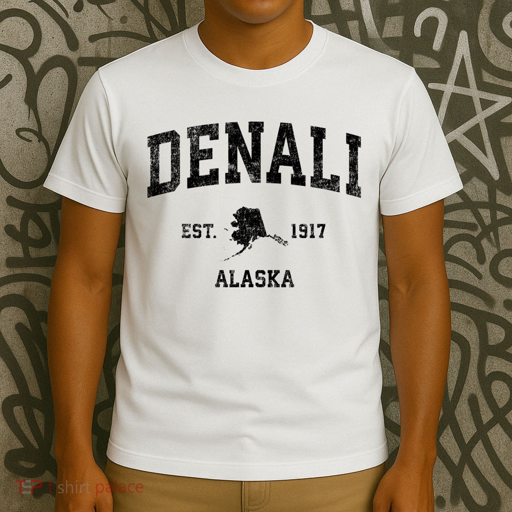 Denali Park Alaska AK Vintage Sports Print T-Shirt