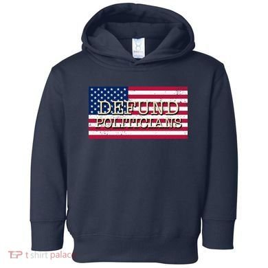 Defund Politicians American Flag Toddler Hoodie
