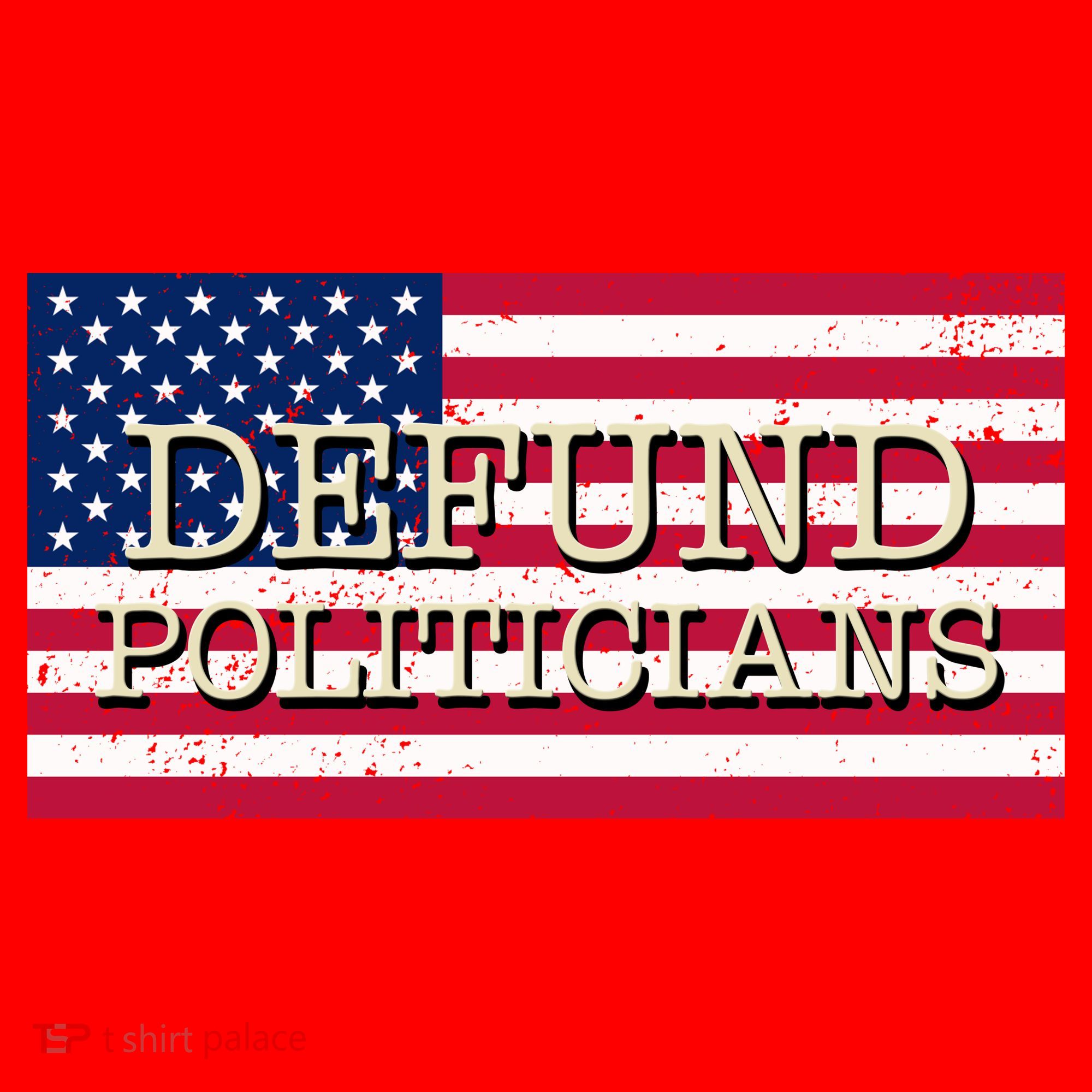 Defund Politicians American Flag Santa Hat