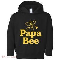 Dad Papa Bee Matching Family Bumblebee Birthday Party Toddler Hoodie thumb 0