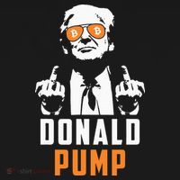 Donald Pump Bitcoin Funny Trump 2024 Crypto American Flag Women's Hoodie thumb 2