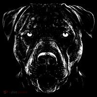 Detailed Pitbull Dog Women's T-Shirt thumb 6