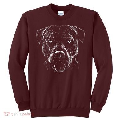 Detailed Pitbull Dog Sweatshirt