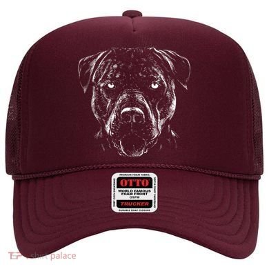 Detailed Pitbull Dog Hat