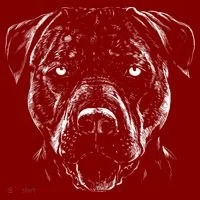Detailed Pitbull Dog Kids Hoodie thumb 2