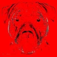 Detailed Pitbull Dog Santa Hat thumb 1