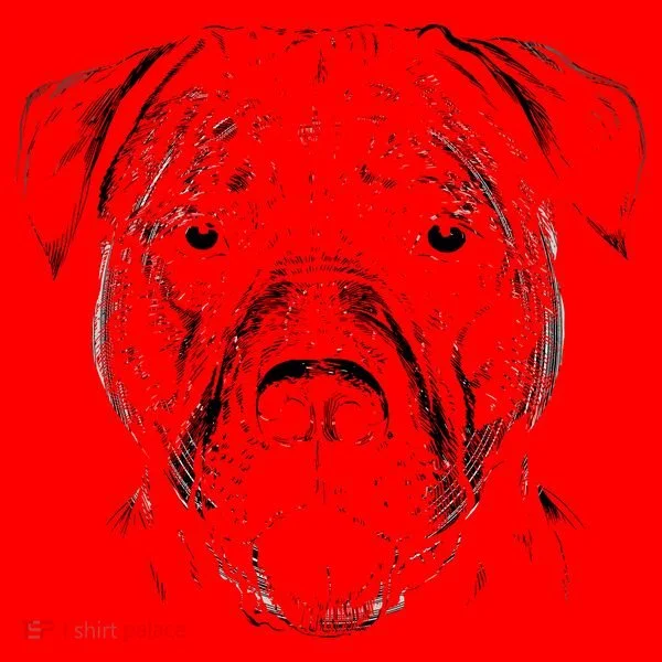 Detailed Pitbull Dog Santa Hat