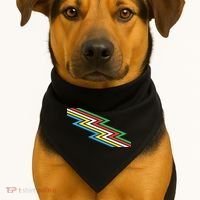 Disability Pride Flag July Disabled Pride Month Awareness Gift USA-Made Doggie Bandana thumb 1