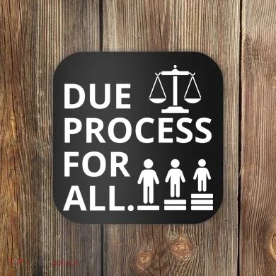 Due Process For All Coaster