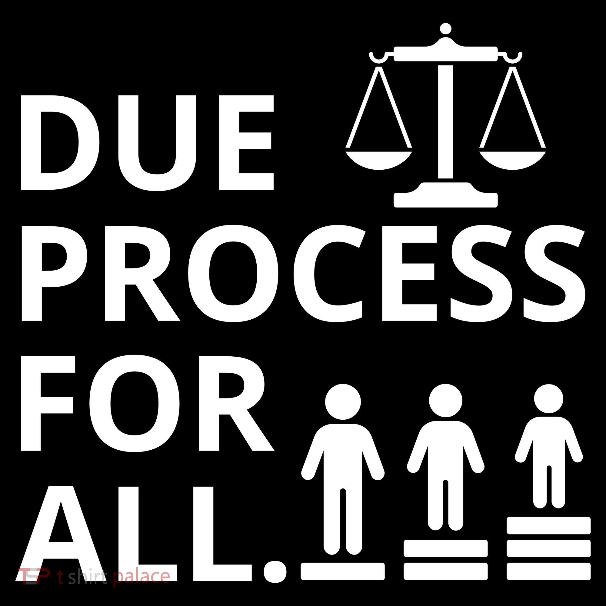 Due Process For All Coaster