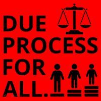 Due Process For All Santa Hat thumb 1