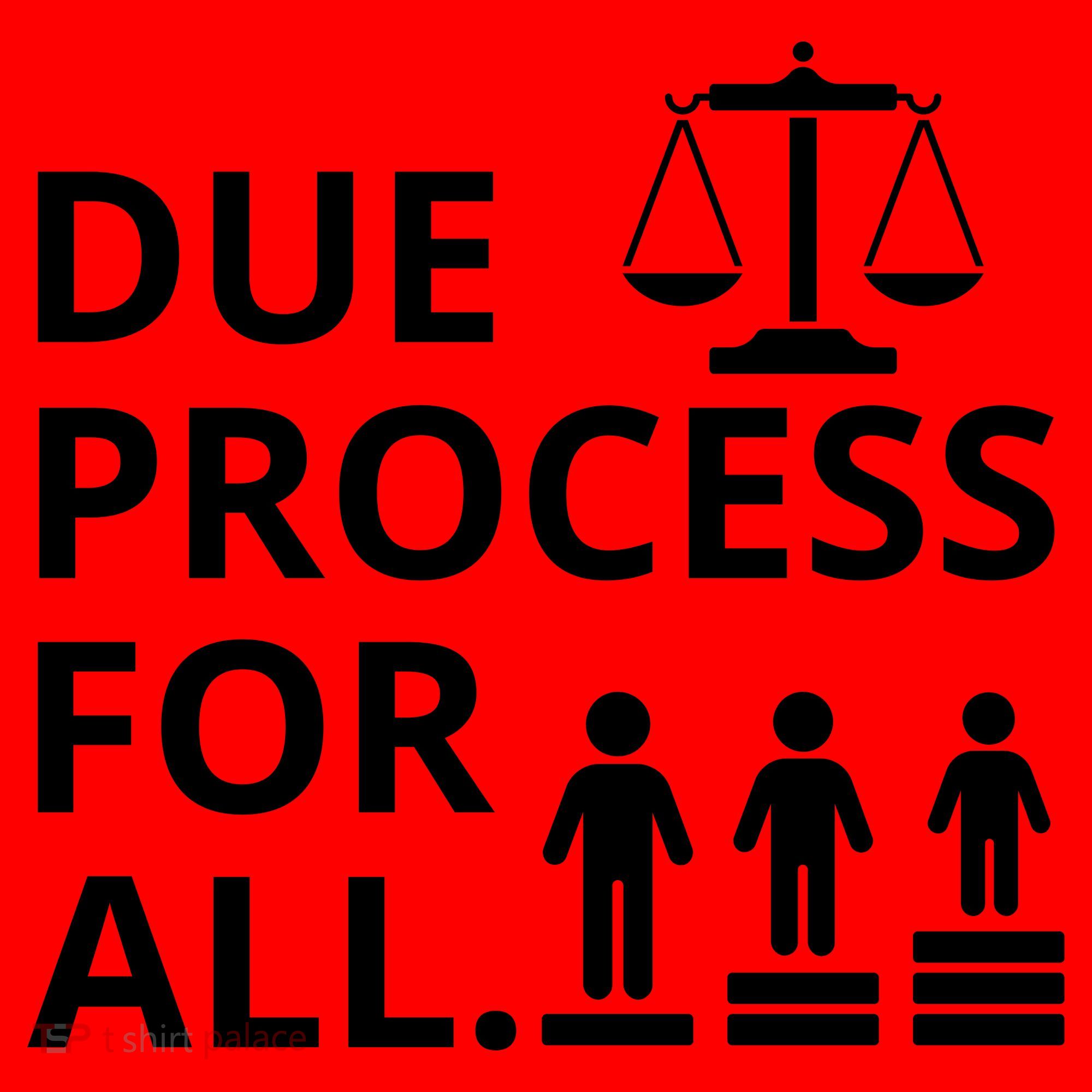 Due Process For All Santa Hat