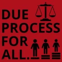 Due Process For All Christmas Stocking thumb 1