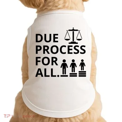 Due Process For All Doggie Tank