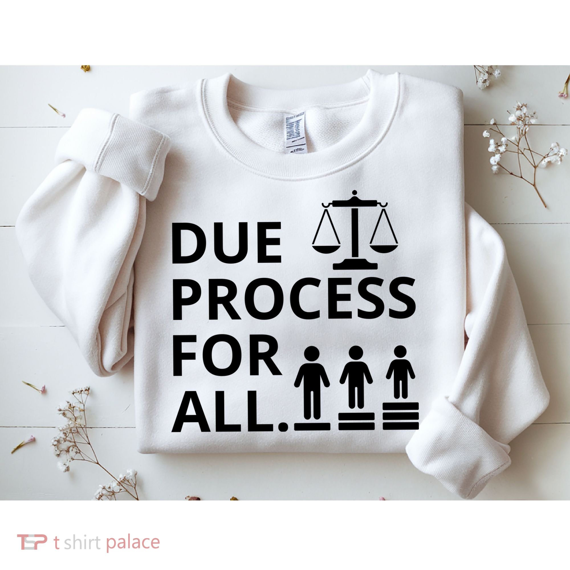 Due Process For All Sweatshirt
