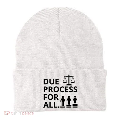 Due Process For All Beanie