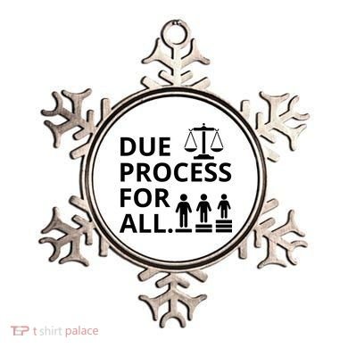 Due Process For All Ornament