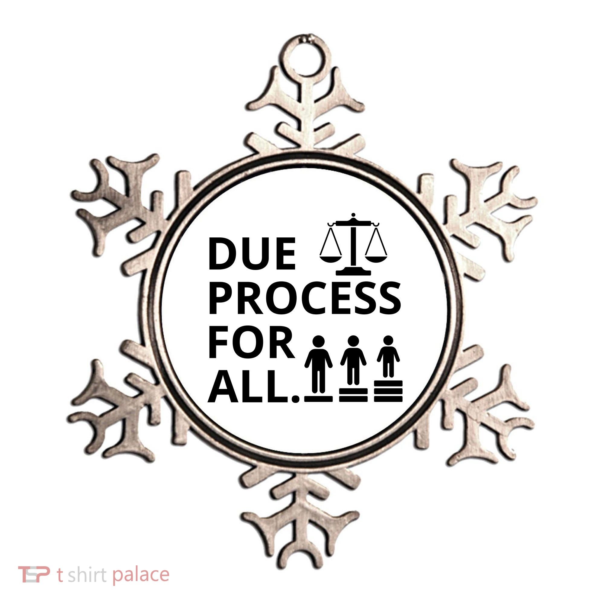 Due Process For All Ornament
